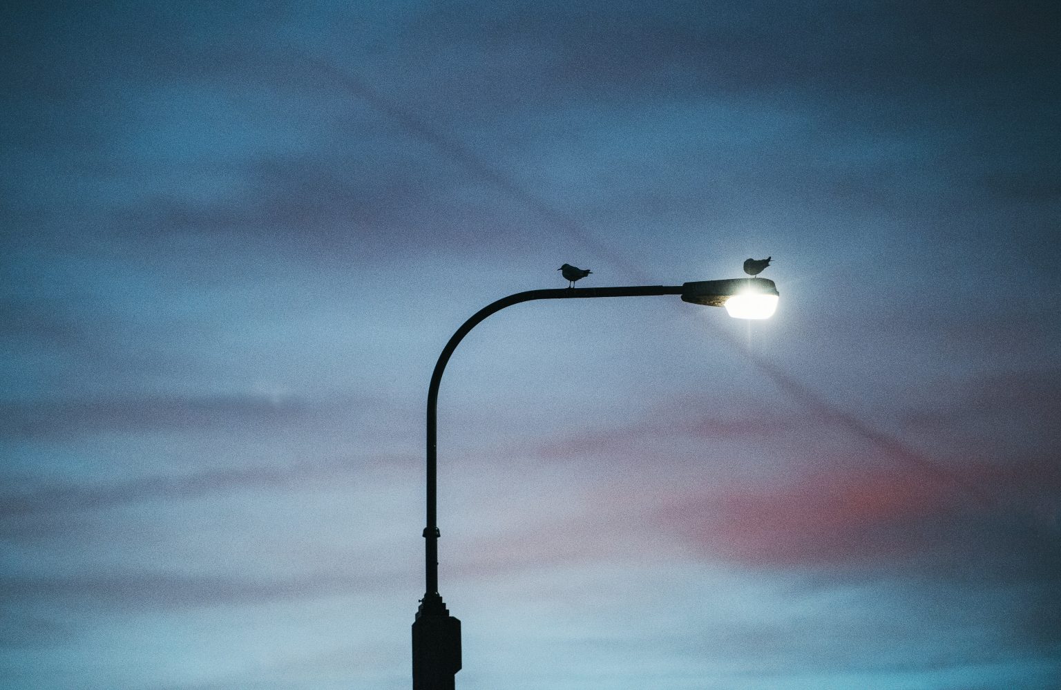 Hertfordshire Tops £42M in LED Streetlight Conversion as UK Councils Invest Big LED Streetlight Conversions Cost Councils Over £418M—Here’s Who’s Leading