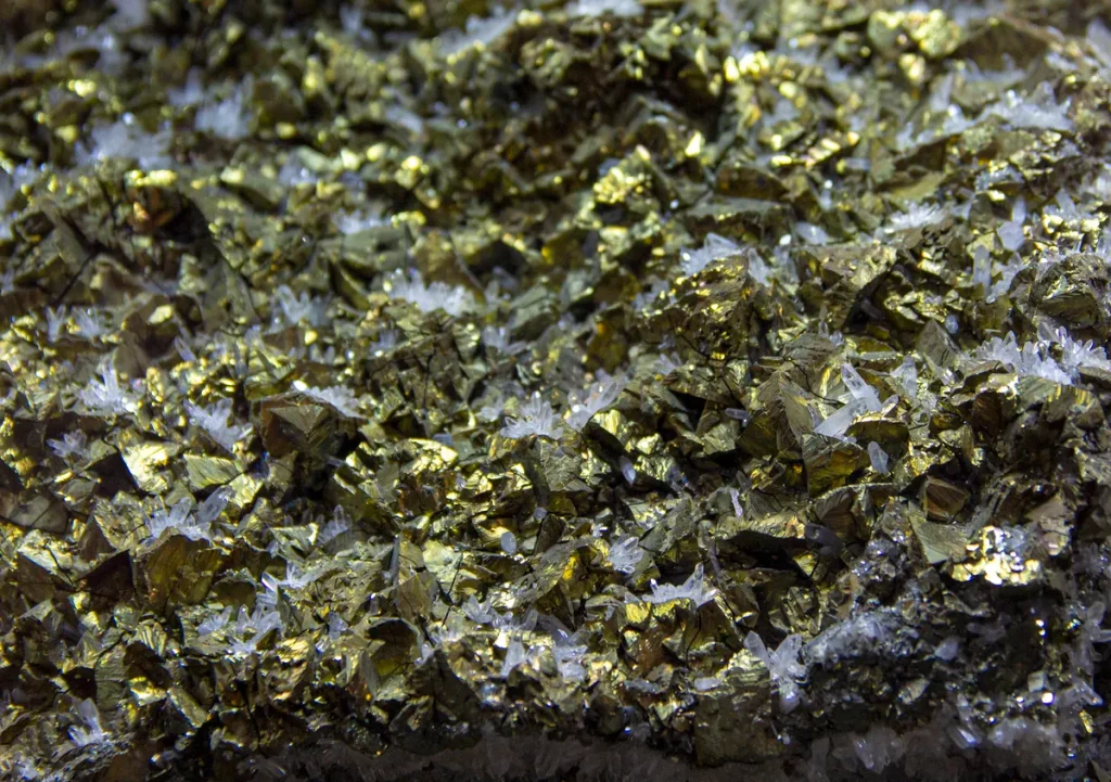 Golden Prospect Precious Metals Costs Under Scrutiny as Buyback and Dividend Strategy Bites Golden Prospect Precious Metals costs